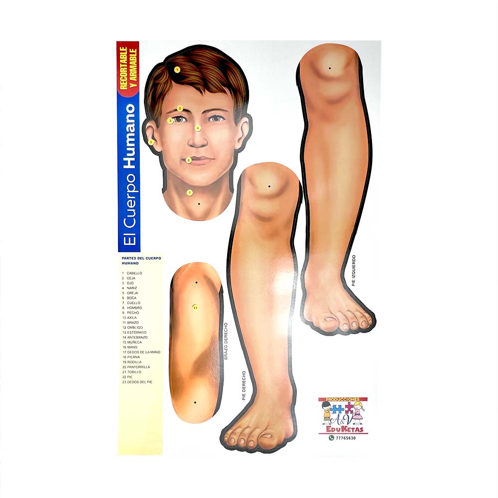 Cuerpo Humano ARMABLE de 165 Cm.