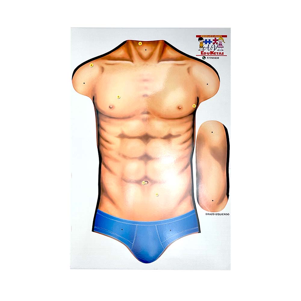 Cuerpo Humano ARMABLE de 165 Cm.
