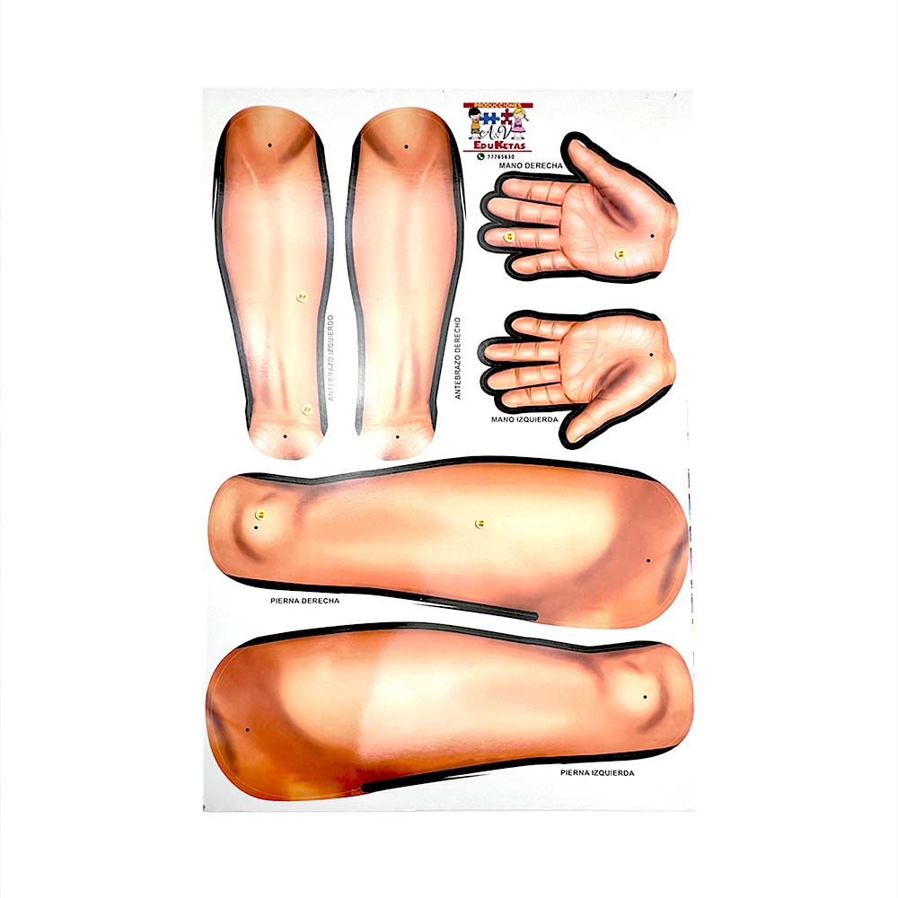 Cuerpo Humano ARMABLE de 165 Cm.
