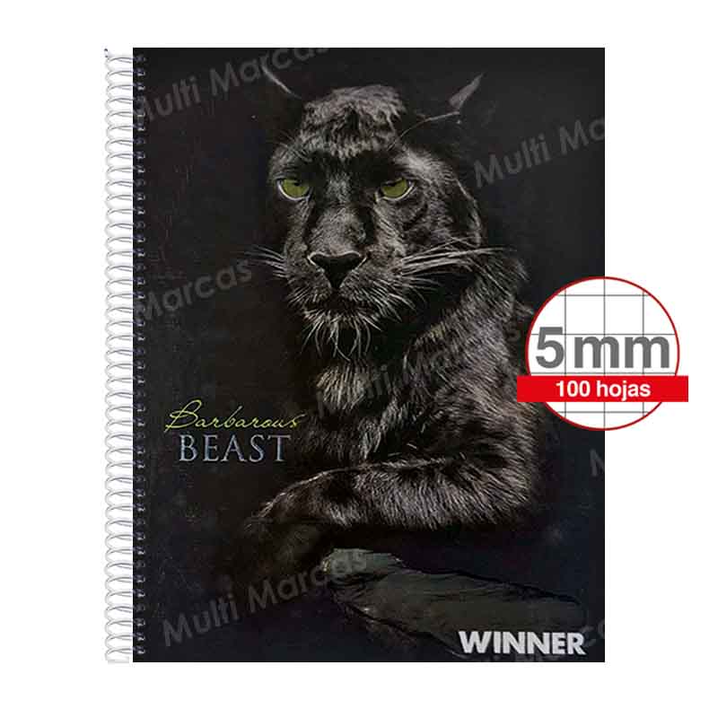 Cuaderno Espiral Con Diseño Winner Tamaño Carta