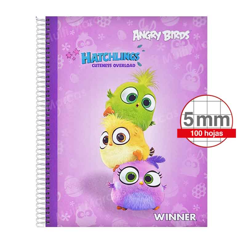 Cuaderno Espiral Con Diseño Winner Tamaño Carta