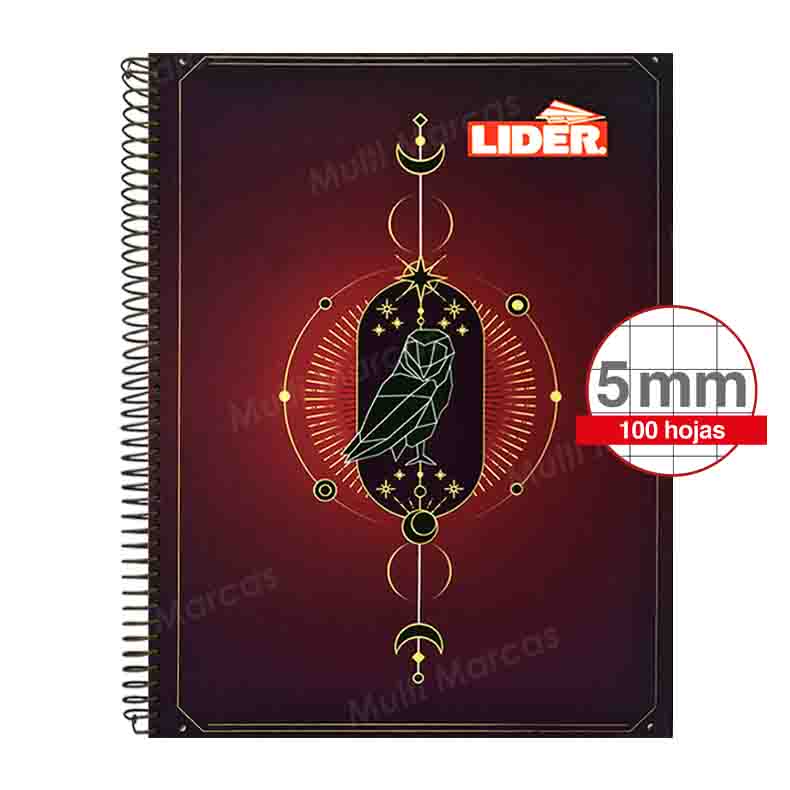Cuaderno Espiral Plástico con Diseño Tamaño Carta Cuadricula Corriente LIDER