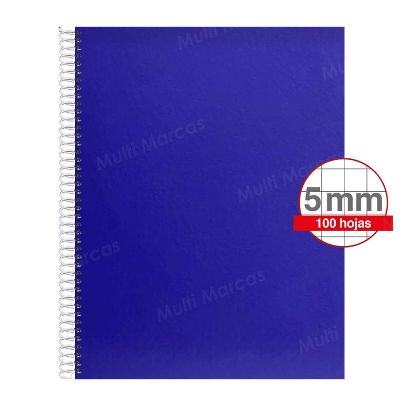 Cuaderno Artesanal de 100 Hojas, Tamaño Carta Cuadrícula 5 mm. Anillo Plástico, Tapa de Colores Plenos