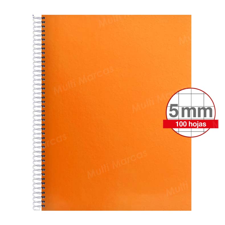 Cuaderno Artesanal de 100 Hojas, Tamaño Carta Cuadrícula 5 mm. Anillo Plástico, Tapa de Colores Plenos