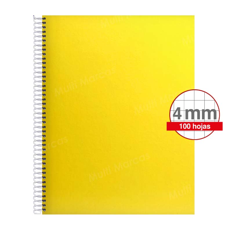 Cuaderno Artesanal de 100 Hojas, Tamaño Carta Cuadrícula 4 mm / Intermedia / Elva,  Anillo Plástico, Tapa de Color Pleno