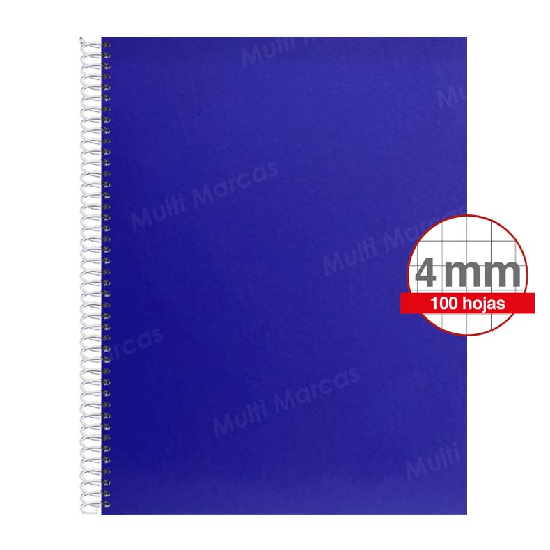 Cuaderno Artesanal de 100 Hojas, Tamaño Carta Cuadrícula 4 mm / Intermedia / Elva,  Anillo Plástico, Tapa de Color Pleno