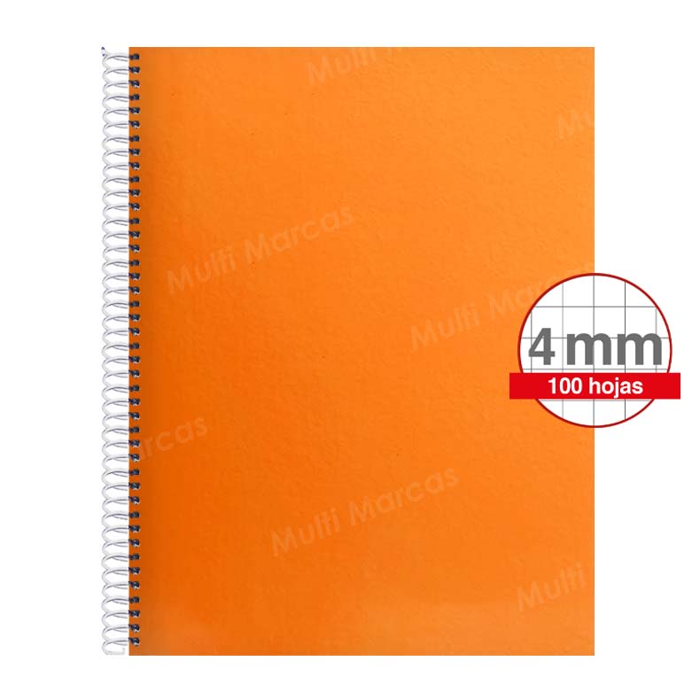 Cuaderno Artesanal de 100 Hojas, Tamaño Carta Cuadrícula 4 mm / Intermedia / Elva,  Anillo Plástico, Tapa de Color Pleno