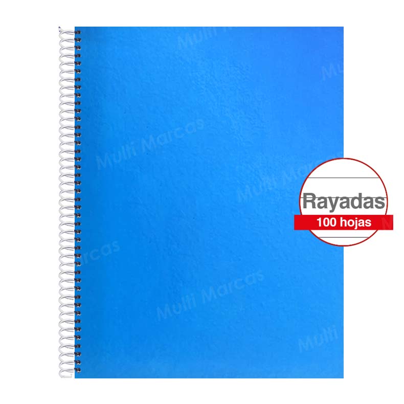 Cuaderno Artesanal de 100 Hojas, Tamaño Carta Hojas Rayadas Anillo Plástico, Tapa de Colores Plenos