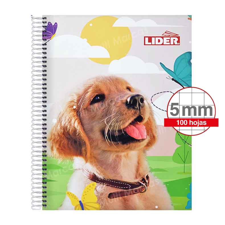 Cuaderno Espiral Tamaño Carta Cuadrícula normal 5 mm. Anillo Metálico, 100 Hojas - LIDER