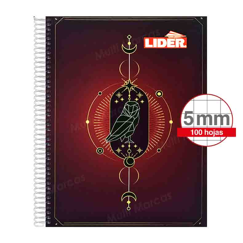 Cuaderno Espiral Tamaño Carta Cuadrícula normal 5 mm. Anillo Metálico, 100 Hojas - LIDER