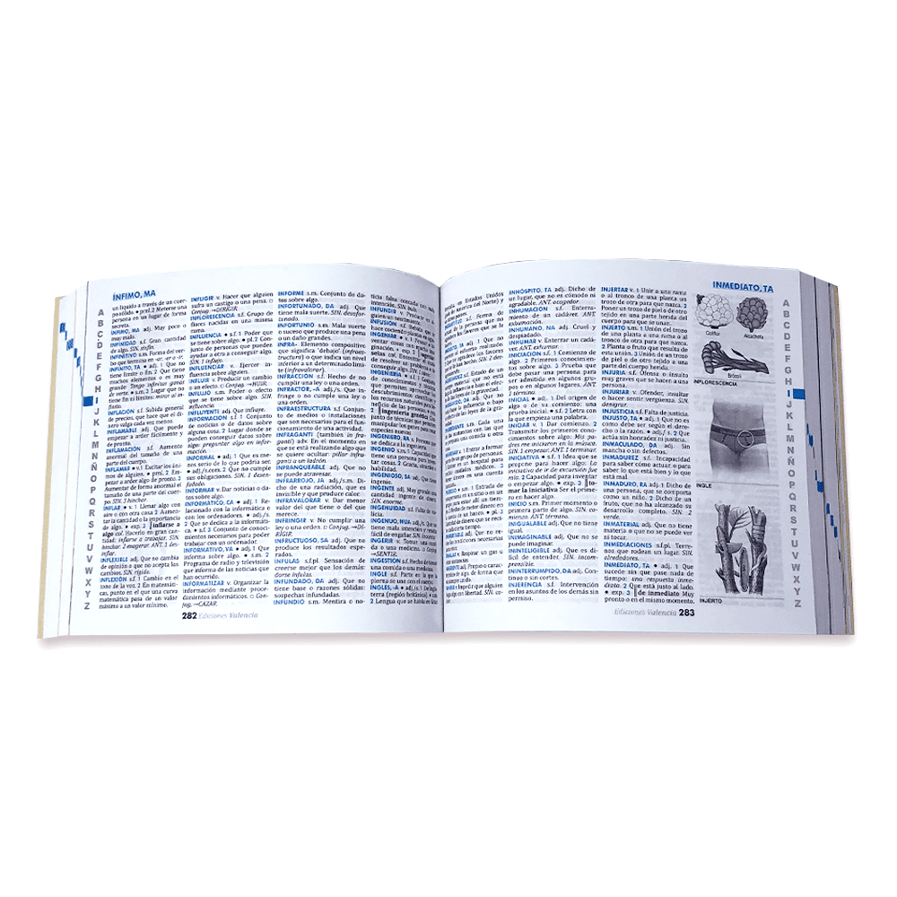 Diccionario Ilustrado Lexicom