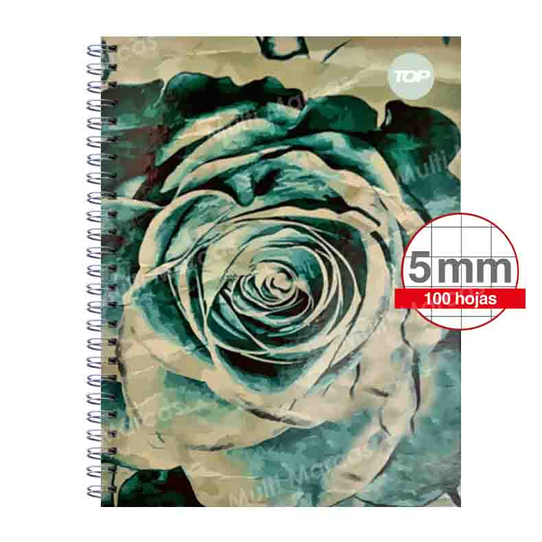 Cuaderno Anillado Metálico doble Espiral Carta TOP 100 Hojas Cuadricula Corriente