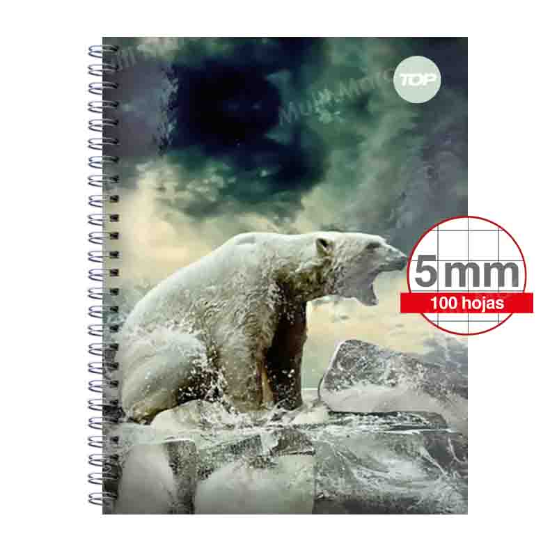 Cuaderno Anillado Metálico doble Espiral Carta TOP 100 Hojas Cuadricula Corriente