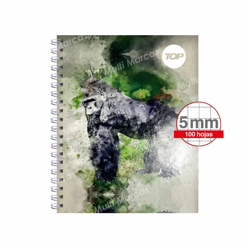 Cuaderno Anillado Doble Metálico Medio 1/2 Oficio TOP 100 Hojas Cuadricula corriente